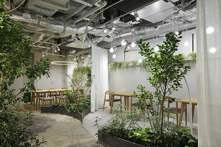 HITOKUCHIZAKA FOREST