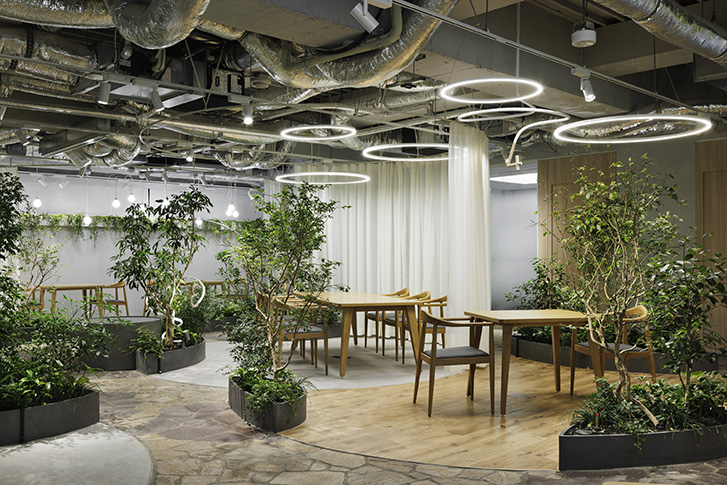 HITOKUCHIZAKA FOREST