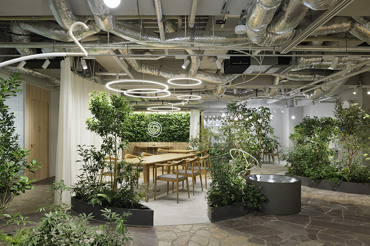 HITOKUCHIZAKA FOREST