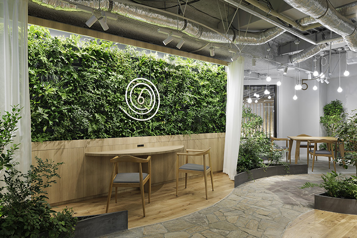 HITOKUCHIZAKA FOREST