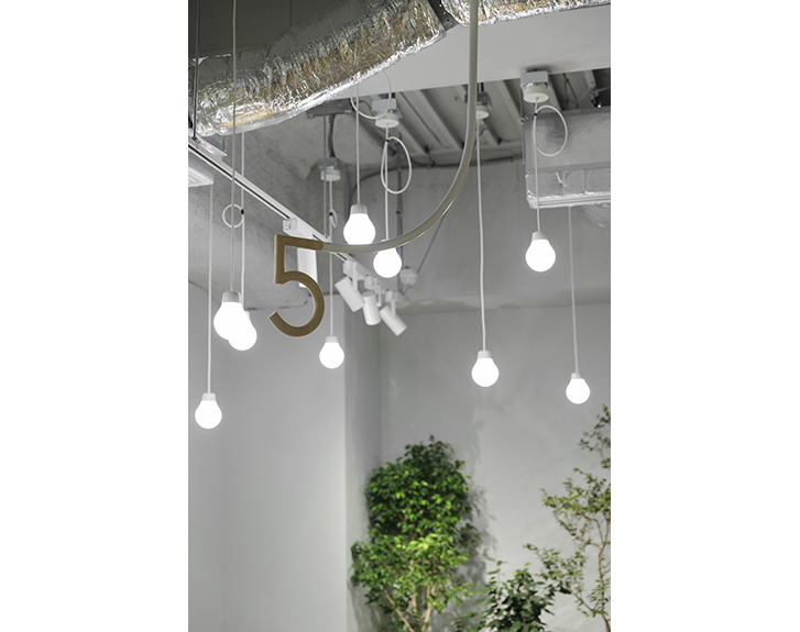 HITOKUCHIZAKA FOREST